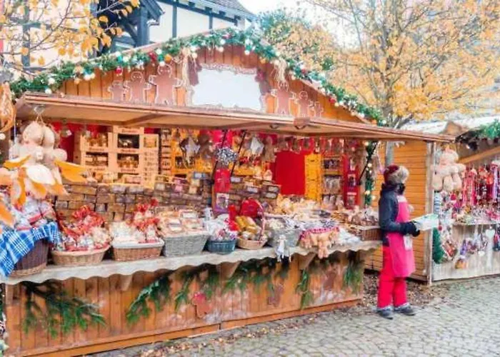 Maisonnette Alsacienne Cosy *